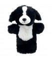 BORDER COLLIE 25cm